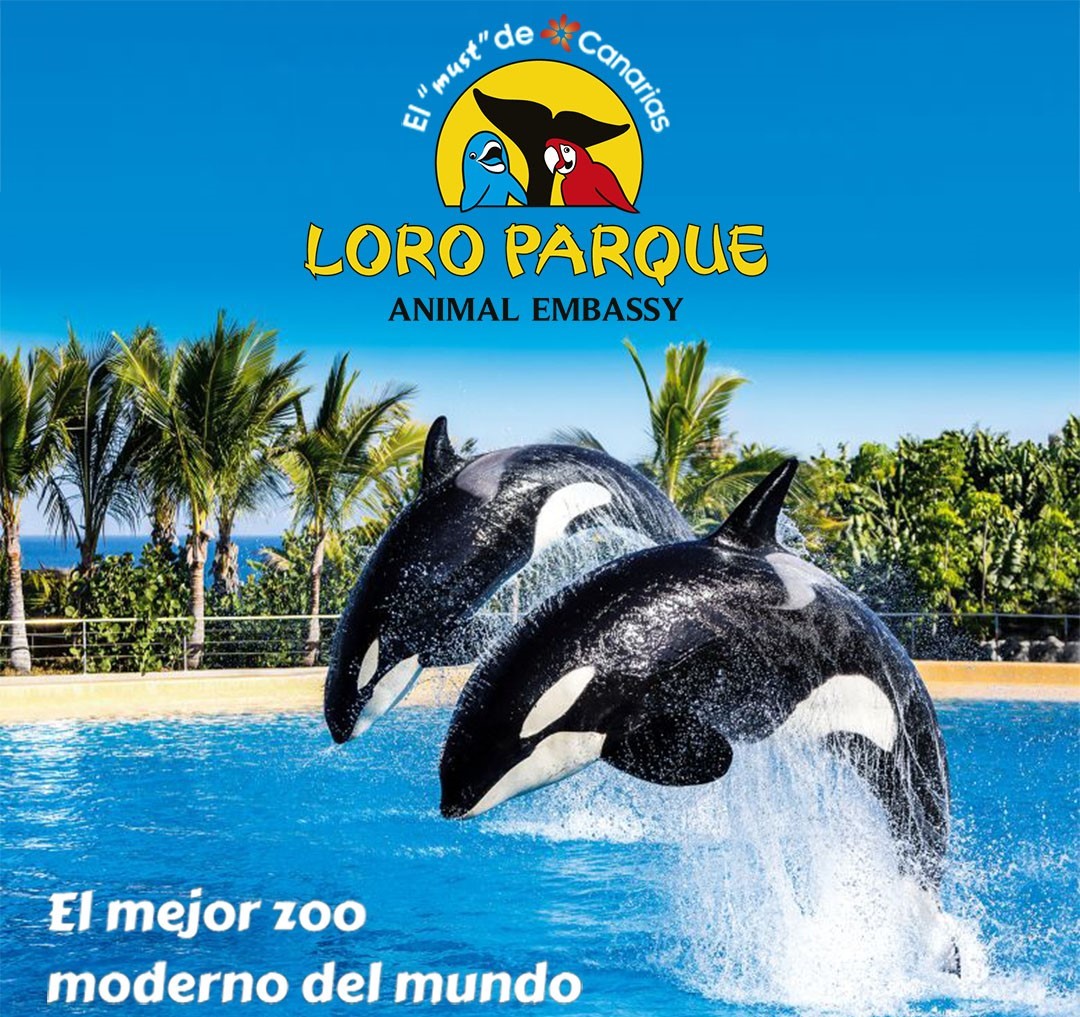 foto-157-loro_parque.jpg_recortada.jpg