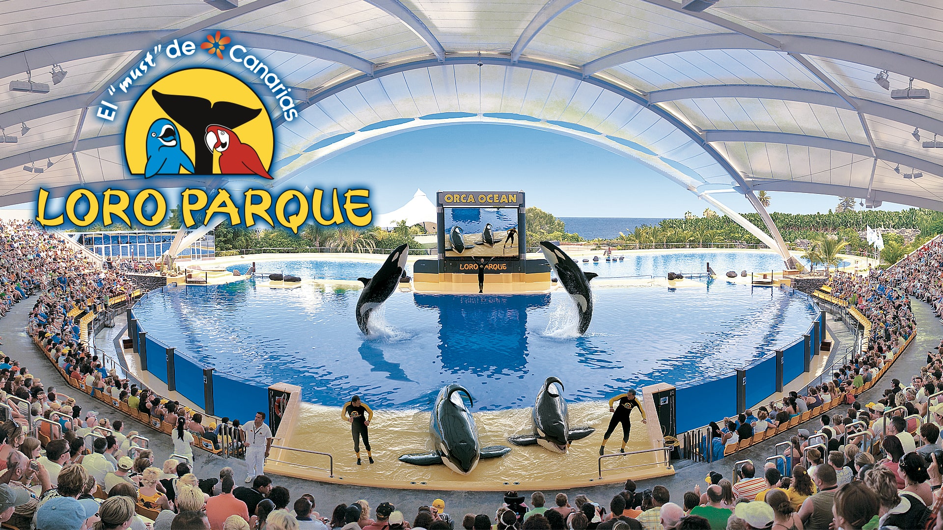 foto-25-loro_parque-min.jpg