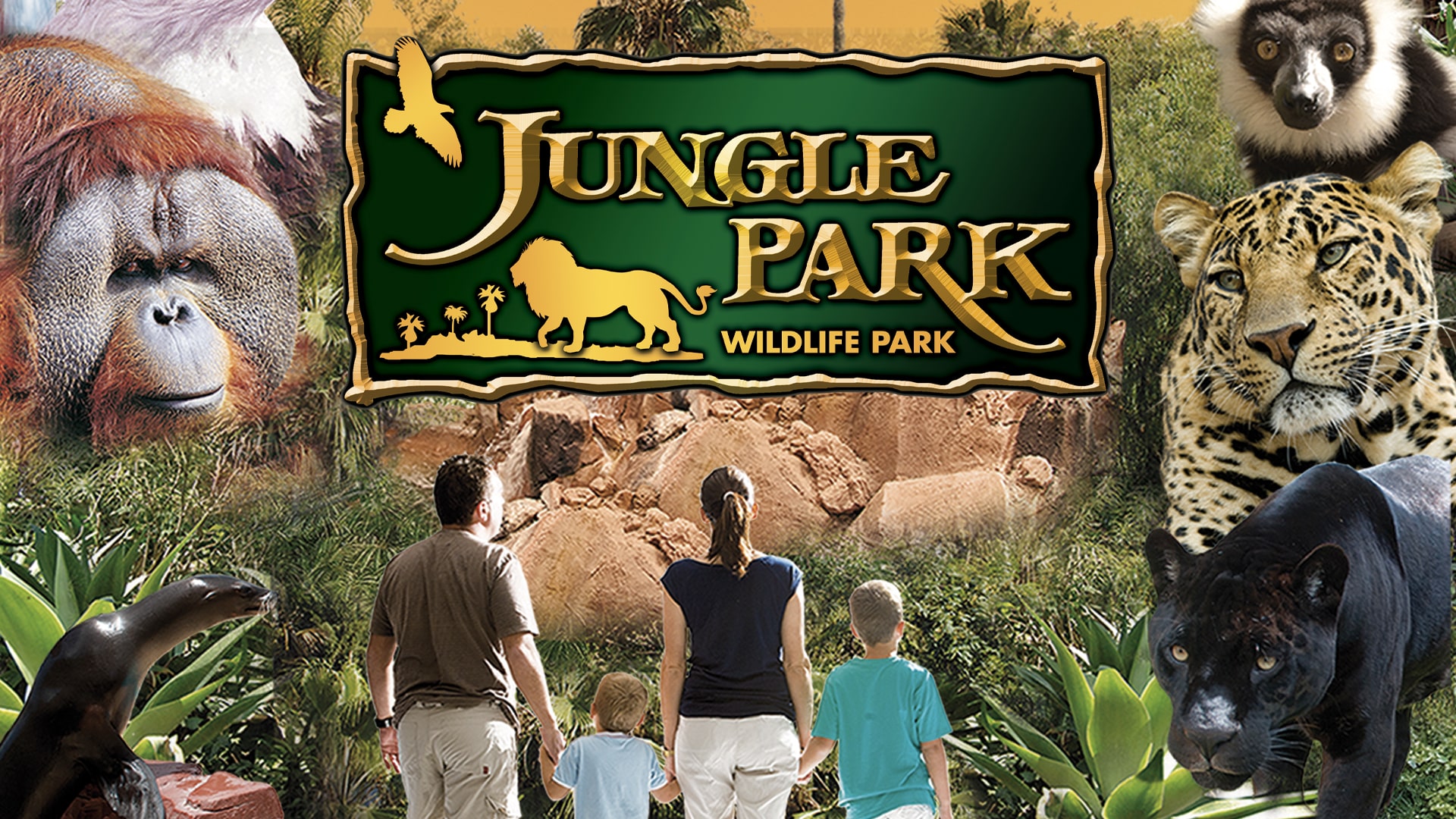 foto-29-jungle_park-min.jpg