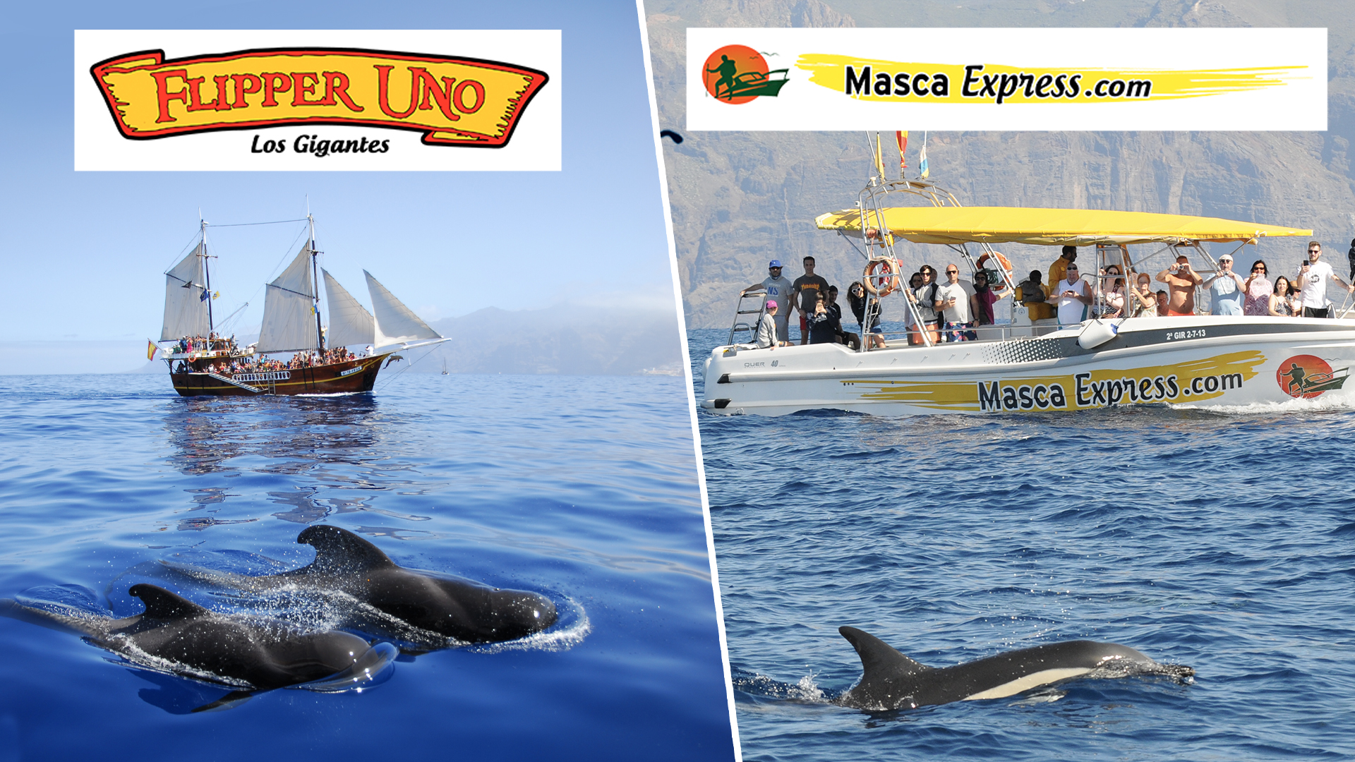 foto-87-FLIPPER_UNO_-_MASCA_EXPRESS.jpg