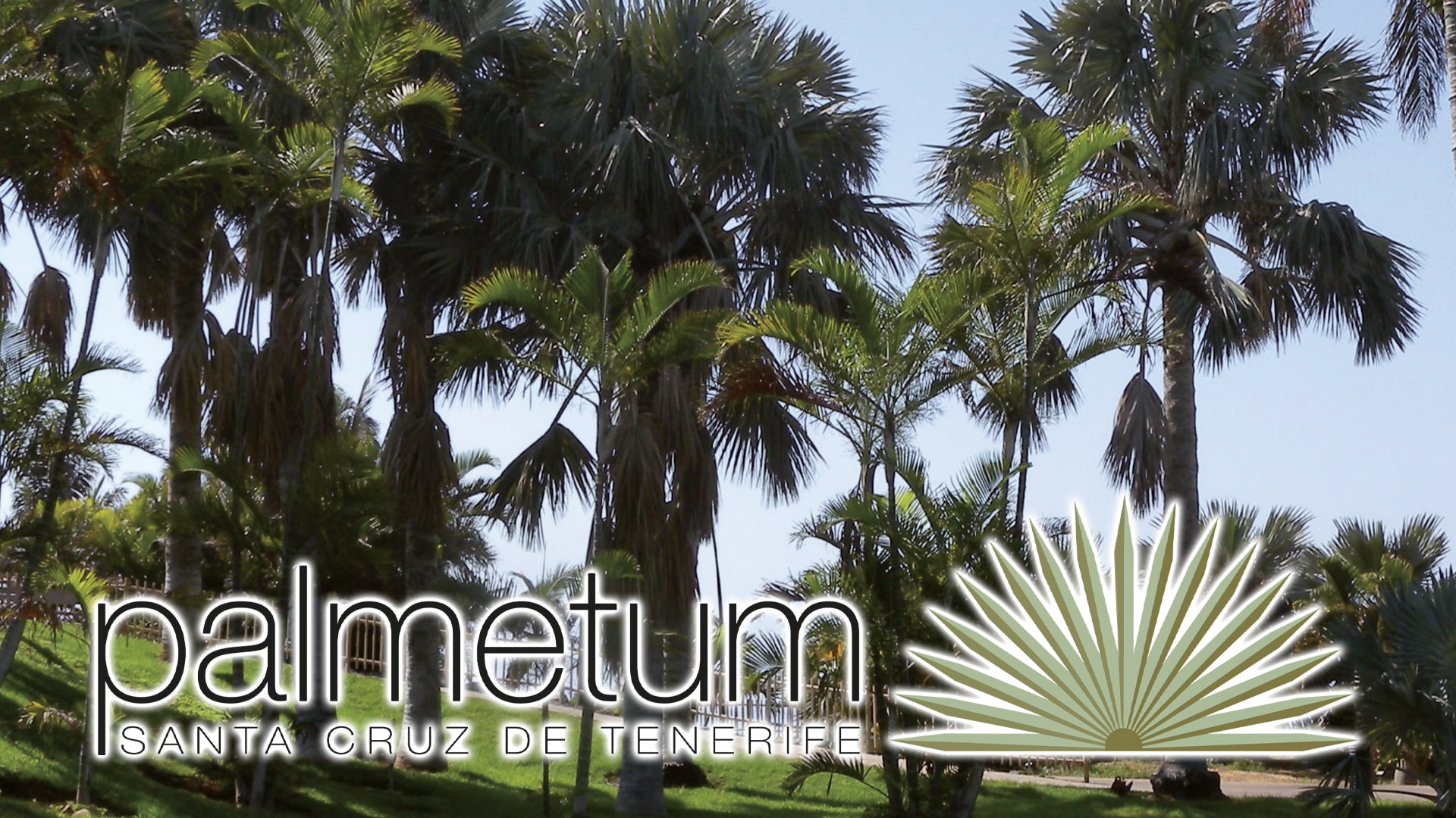 foto-52-palmetum-min.jpg