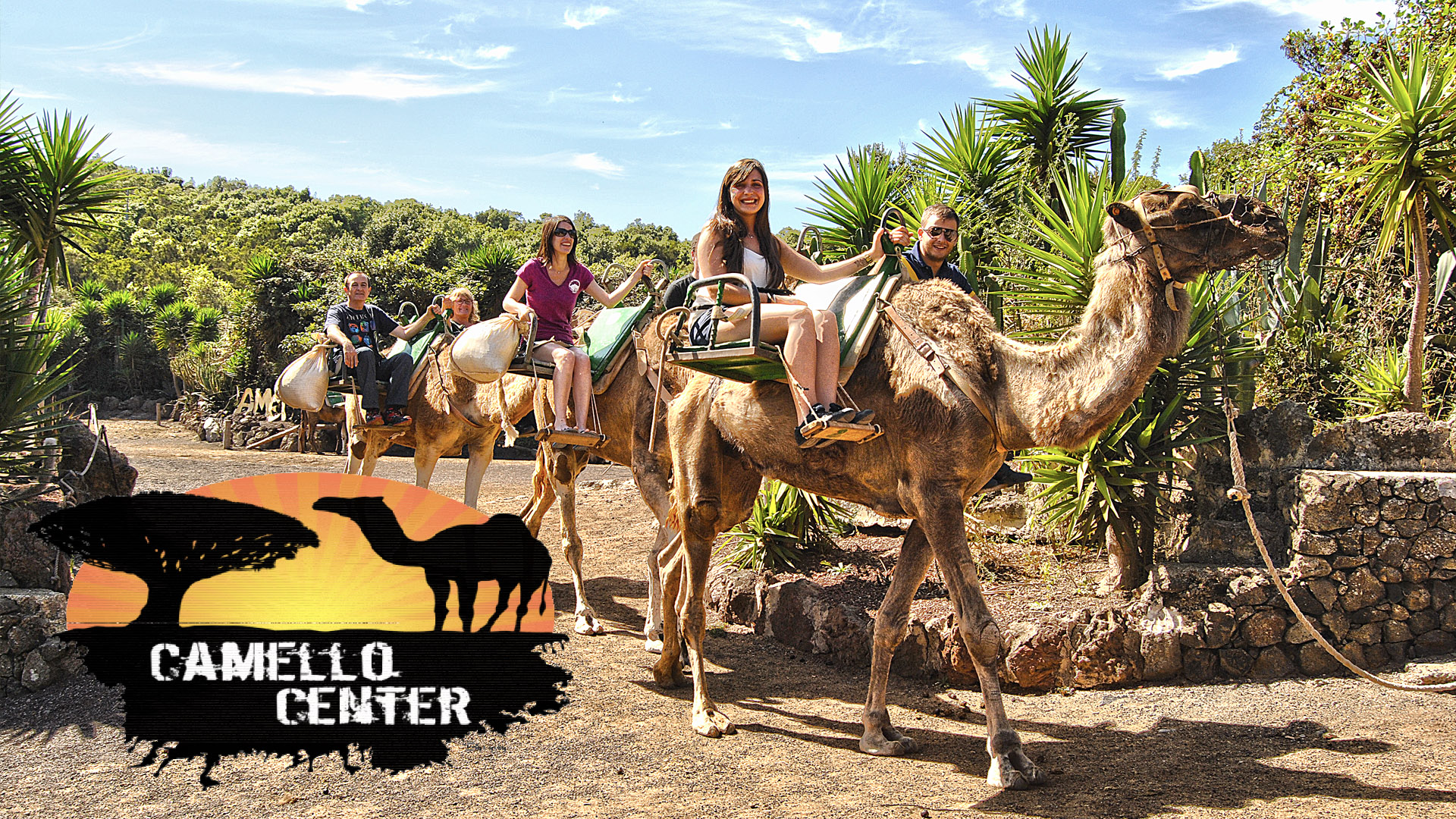 foto-84-CAMELLO_CENTER.jpg