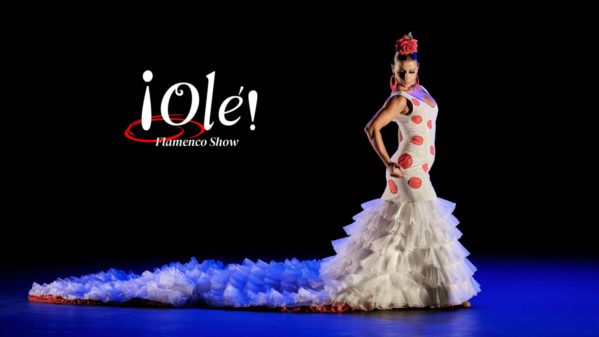 foto-101-OLE-FLAMENCO-SHOW.jpg